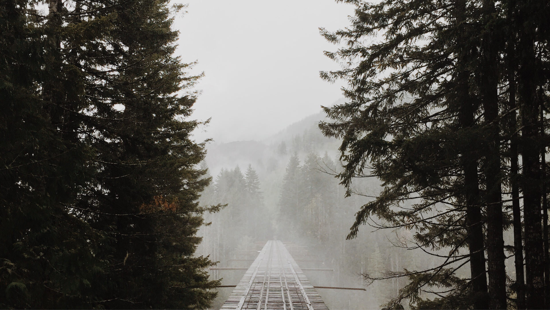 SRXperts preview inspiration